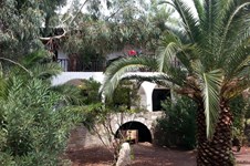 Property 2340 photo 6
