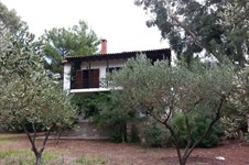 Property 2340 photo 15