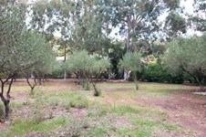 Property 2340 photo 5
