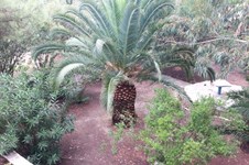Property 2340 photo 7