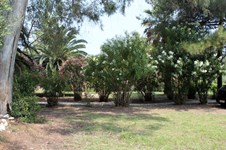 Property 2340 photo 2