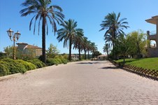 Property 2341 photo 13