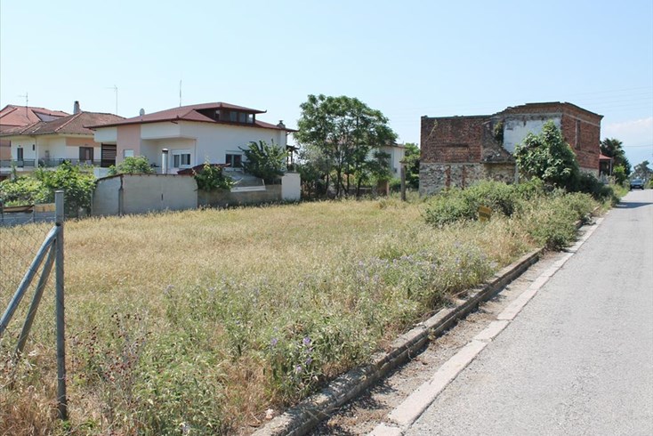Realty photo 2