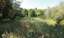 Land 2500 m² auf Korfu