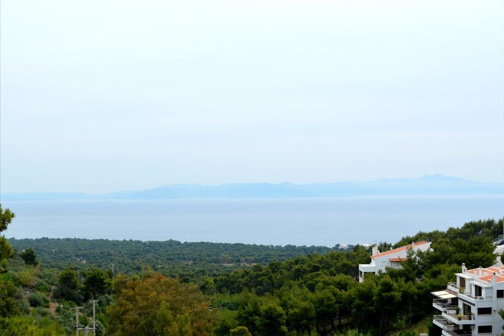 Realty photo 2