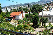 Property 23493 photo 11