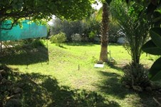 Property 23538 photo 6