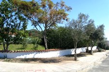 Property 23538 photo 3