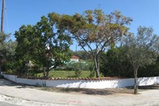 Property 23538 photo 5