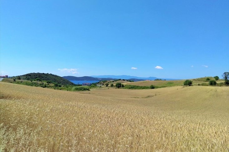 Realty photo 2