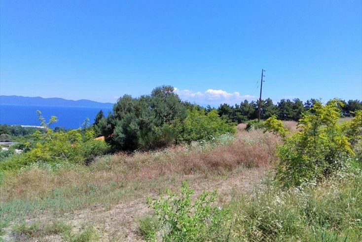 Realty photo 2