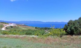 Zemljište 11000 m² na Atosu (Halkidiki)