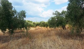 Land 3780 m² auf Sithonia (Chalkidiki)