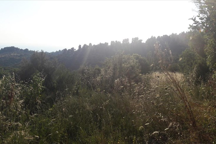 Realty photo 3