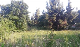 أرض 1346 m² في سیتونیا - هالكيديكي