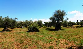 Land 3000 m² auf Korfu