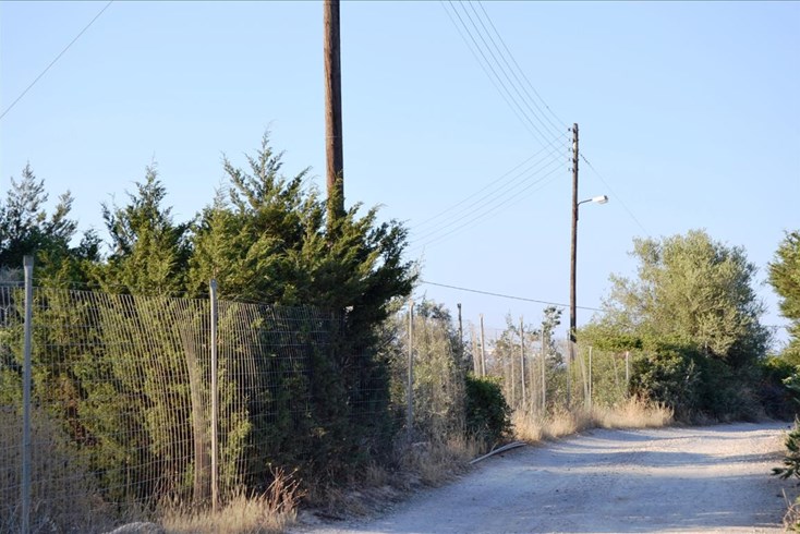 Realty photo 3