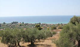 Zemljište 4000 m² na Kasandri (Halkidiki)