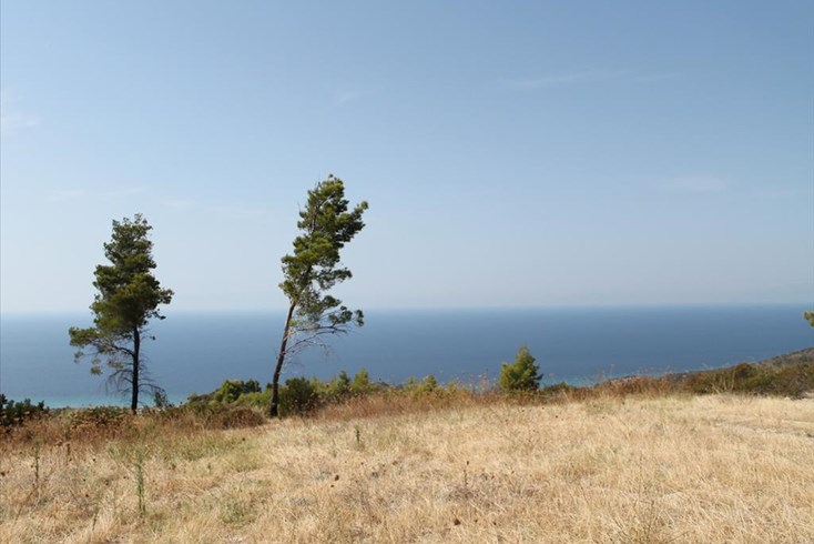 Realty photo 3