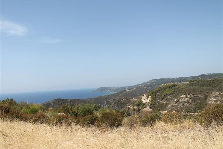Realty photo 1