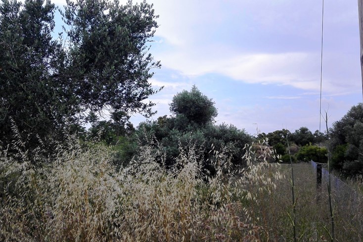 Realty photo 3