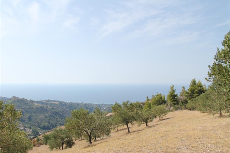 Realty photo 3