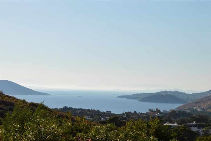 Realty photo 1