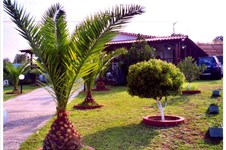 Property 23692 photo 4