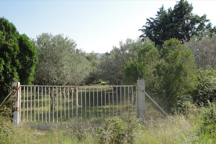 Realty photo 2