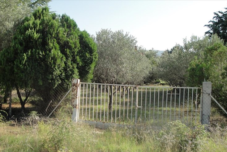 Realty photo 3