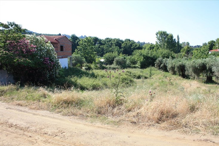 Realty photo 1