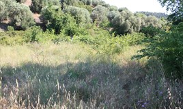 Terrain 2000 m² à Sithonia (Chalcidique)
