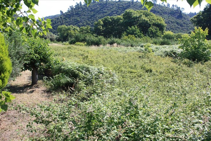 Realty photo 1