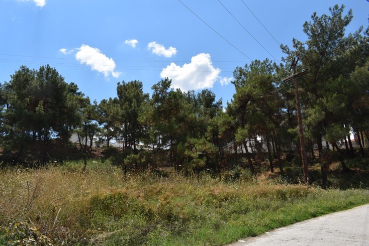 Realty photo 3