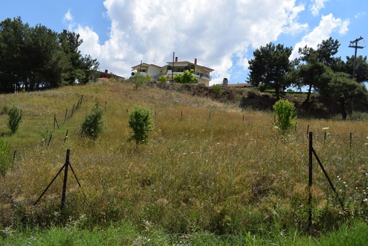Realty photo 1