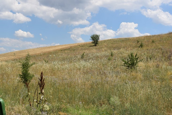 Realty photo 1