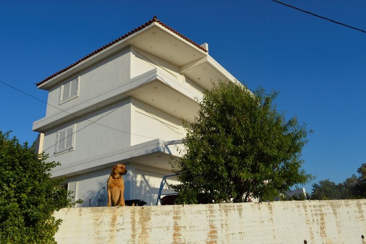 Realty photo 1