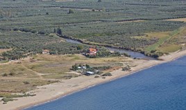 Land 4562 m² auf Kassandra (Chalkidiki)