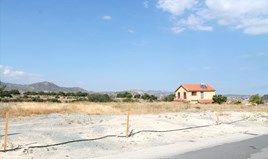 Land 6500 m² in Limassol