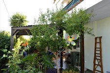 Property 23785 photo 11
