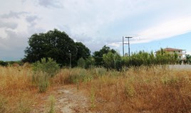 Land 3000 m² in Corfu