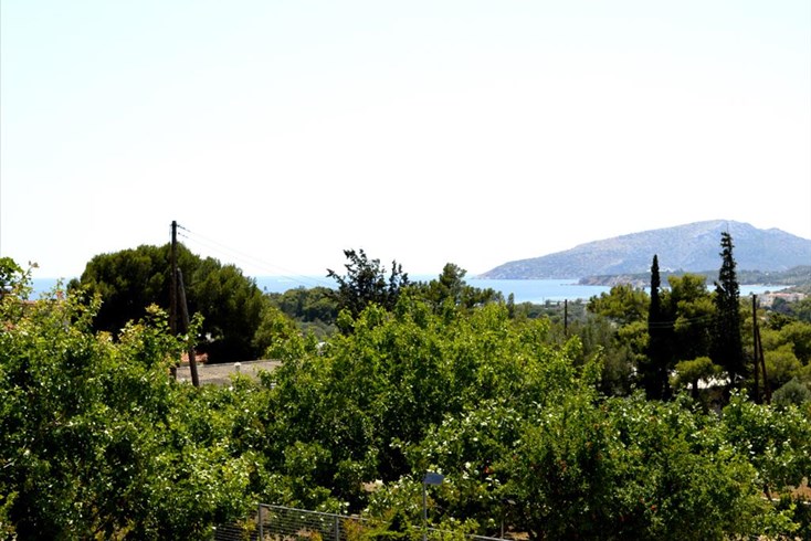 Realty photo 2