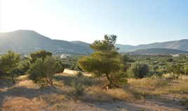 Zemljište 12600 m² na Atici
