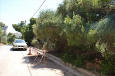 Property 23826 photo 1