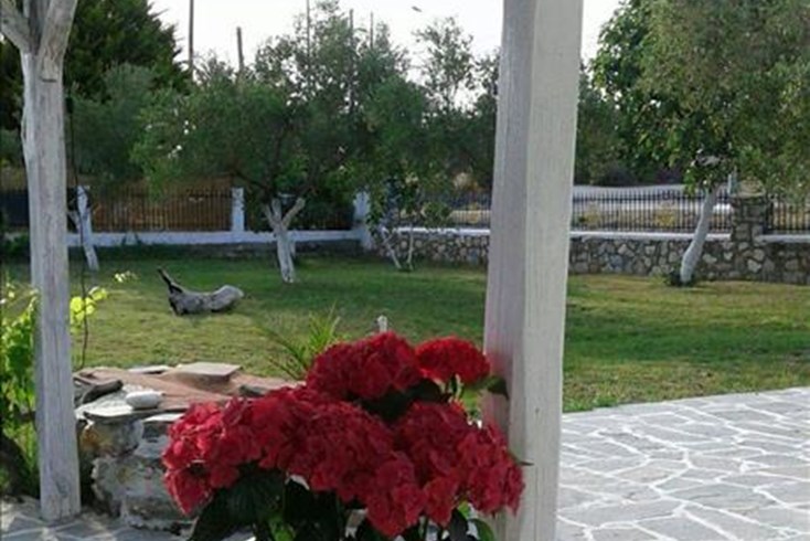 Realty photo 3