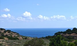 Zemljište 10000 m² na Kritu