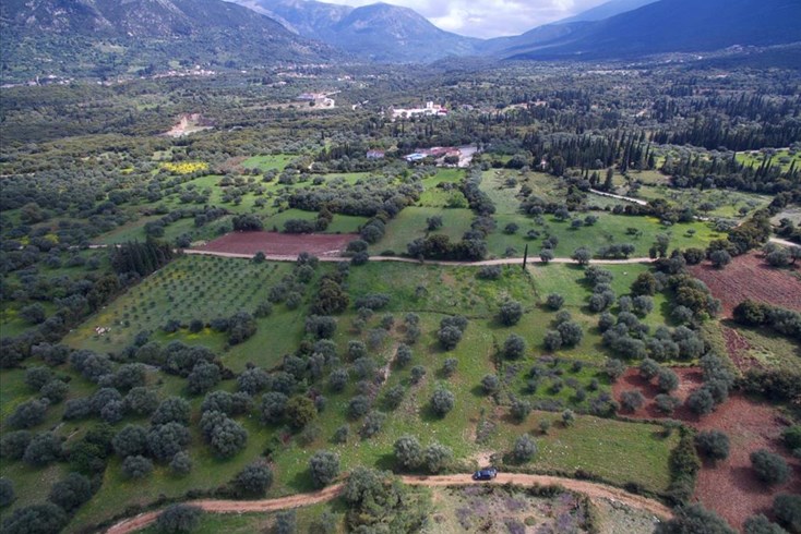 Realty photo 1