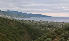Land 15500 m² in Eastern Peloponnese