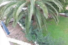 Property 2418 photo 18