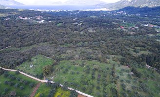 Arsa 5491 m² Kefalonia’da